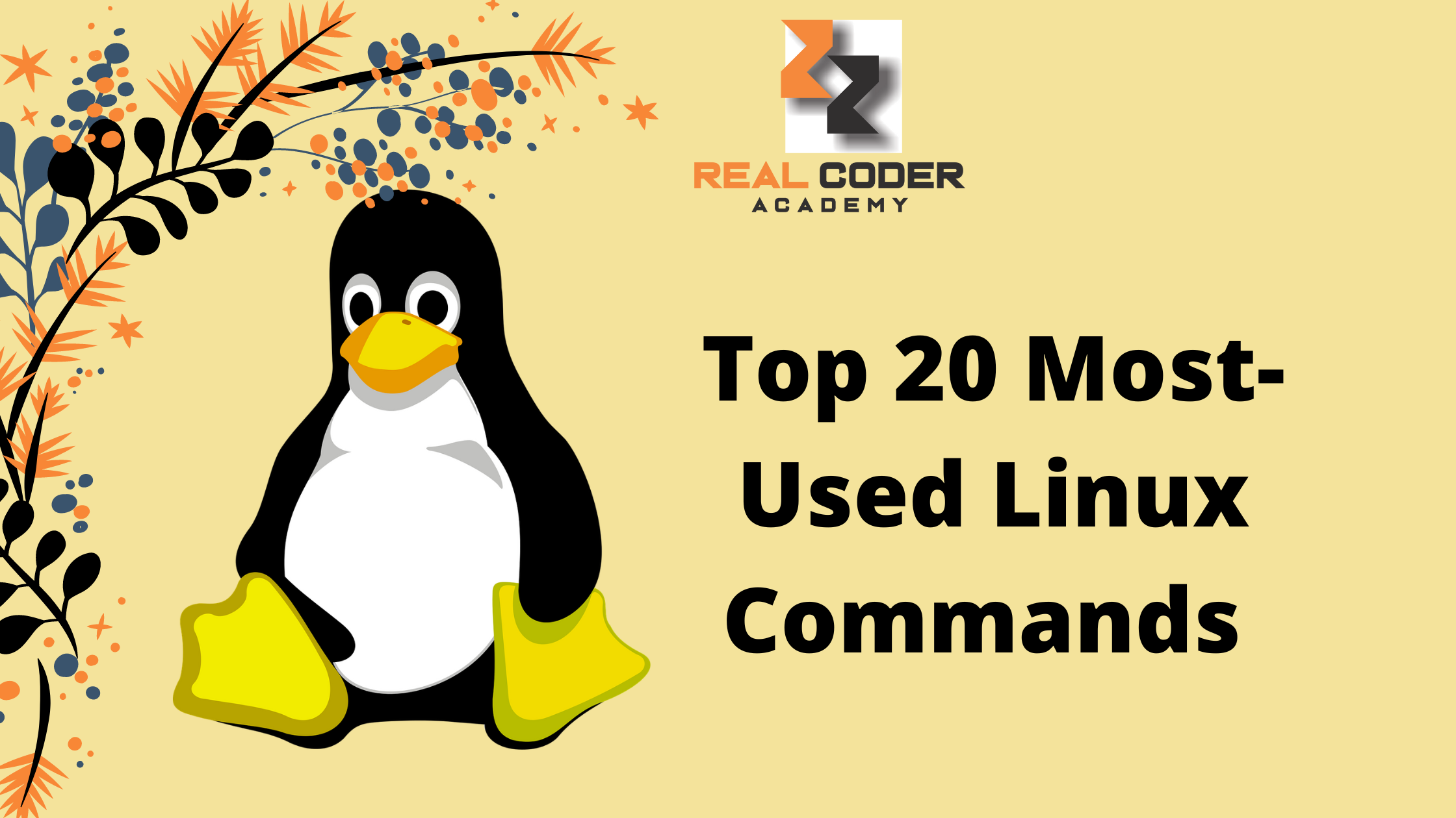 Top 20 Most-Used Linux Commands That Any Developer Should Know